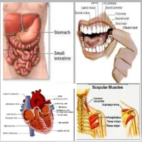 Biology Notes With Pictures